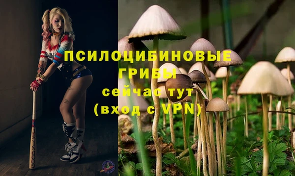 спайс Надым